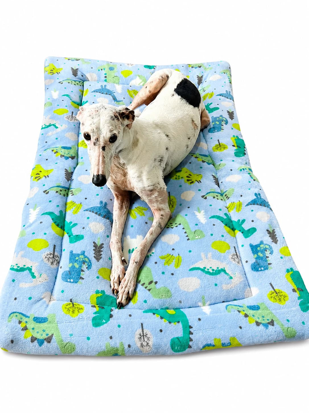 Edredom Dinos com galgo