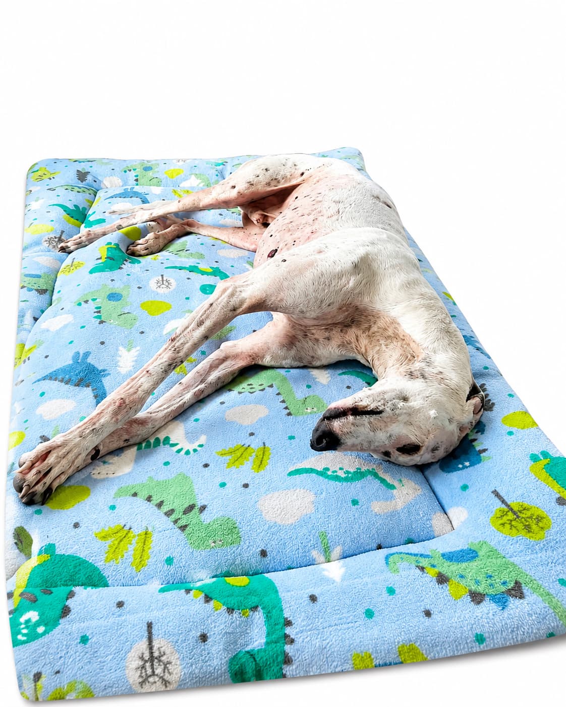 Edredom Dinos com galgo deitado