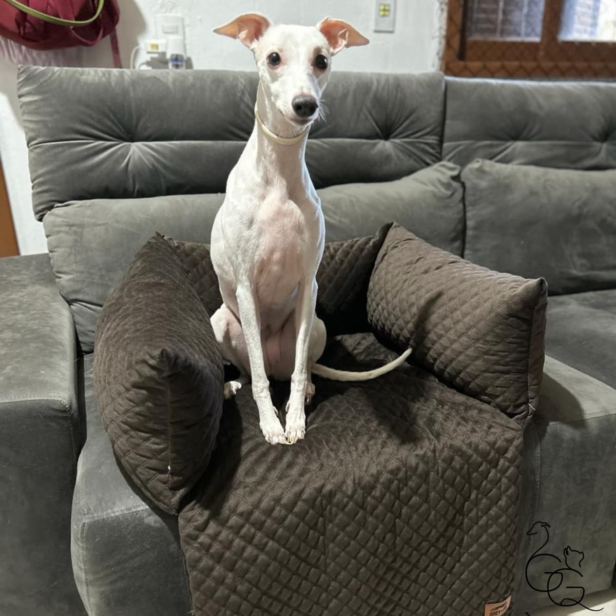 Cama para sofá e carro